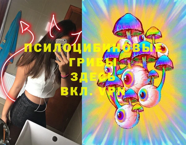 a pvp Абаза