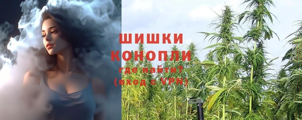 PSILOCYBIN Алзамай