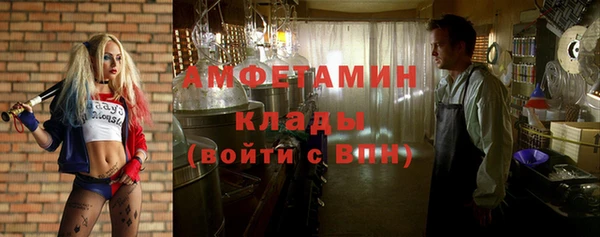 PSILOCYBIN Алзамай