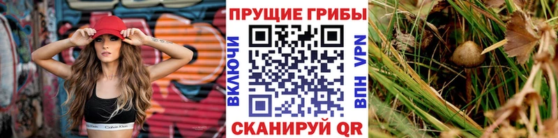 как найти закладки  Касимов  мориарти телеграм  Псилоцибиновые грибы ЛСД 